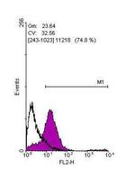 OCT4 Antibody in Flow Cytometry (Flow)