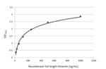 Vimentin Antibody in ELISA (ELISA)