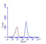 SQSTM1 Antibody in Flow Cytometry (Flow)