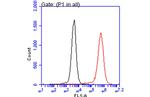 IBA1 Antibody in Flow Cytometry (Flow)