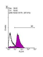 OCT4 Antibody in Flow Cytometry (Flow)