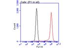 Annexin V Antibody in Flow Cytometry (Flow)