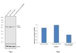 HSP70 Antibody