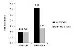 ESRRA Antibody in ChIP Assay (ChIP)