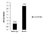 MCM3 Antibody in ChIP Assay (ChIP)