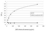 Arginase 1 Antibody in ELISA (ELISA)