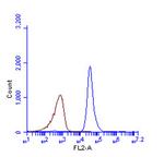 LC3B Antibody in Flow Cytometry (Flow)