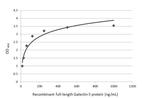 Galectin 3 Antibody in ELISA (ELISA)