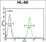 CNIH2 Antibody in Flow Cytometry (Flow)