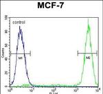 GALNS Antibody in Flow Cytometry (Flow)