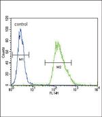 Chromogranin A Antibody in Flow Cytometry (Flow)