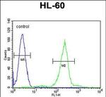 C1QC Antibody in Flow Cytometry (Flow)