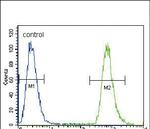 NEU2 Antibody in Flow Cytometry (Flow)