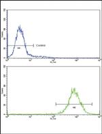 MDH2 Antibody in Flow Cytometry (Flow)