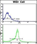 PTP4A2 Antibody in Flow Cytometry (Flow)