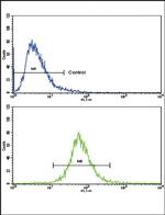 AOC3 Antibody in Flow Cytometry (Flow)