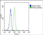 SCAP Antibody in Flow Cytometry (Flow)