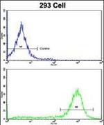 ESRRA Antibody in Flow Cytometry (Flow)