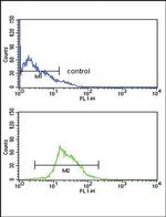 KMO Antibody in Flow Cytometry (Flow)