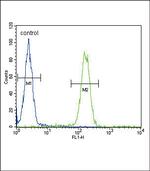 alpha-ENaC Antibody in Flow Cytometry (Flow)