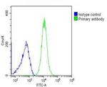 alpha-ENaC Antibody in Flow Cytometry (Flow)