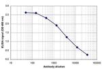 AGO1/AGO2 Antibody in ELISA (ELISA)