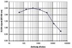 H3K56ac Antibody in ELISA (ELISA)