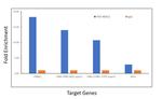 KDM2A Antibody in ChIP Assay (ChIP)