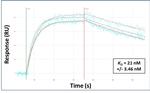 TBX20 Antibody in Surface plasmon resonance (SPR)