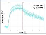 SOX10 Antibody in Surface plasmon resonance (SPR)