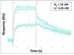 ABCA12 Antibody in Surface plasmon resonance (SPR)