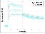 ADCY10 Antibody in Surface plasmon resonance (SPR)