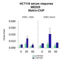 MED25 Antibody in ChIP Assay (CHIP)