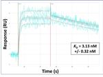 MED19 Antibody in Surface plasmon resonance (SPR)