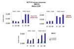 MED19 Antibody in ChIP Assay (CHIP)