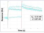 SPAM1 Antibody in Surface plasmon resonance (SPR)