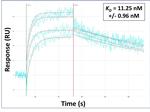 SPRTN Antibody in Surface plasmon resonance (SPR)