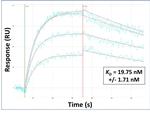 PDZD8 Antibody in Surface plasmon resonance (SPR)