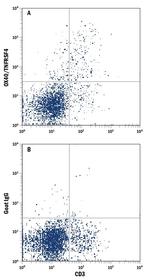 OX40 Antibody in Flow Cytometry (Flow)