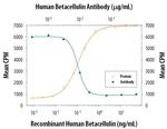 betacellulin Antibody in Neutralization (Neu)