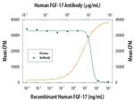 FGF17 Antibody in Neutralization (Neu)