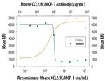 MCP-1 Antibody