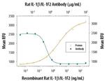 IL-1 beta Antibody