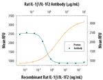 IL-1 beta Antibody in Neutralization (Neu)