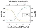 IGFBP4 Antibody