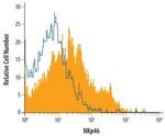 NKp46 Antibody in Flow Cytometry (Flow)