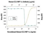 CCL3 Antibody