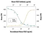 VEGF-164 Antibody