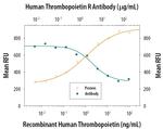 c-Mpl Antibody in Neutralization (Neu)