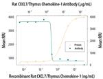 PPBP Antibody in Neutralization (Neu)